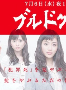 Watch Bull Doctor online