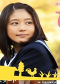 Watch Hiyokko online