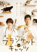 Watch Blanket Cats online
