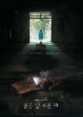 Watch Children of Nobody online