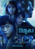 Watch Investigation Couple 2 online